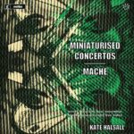 Miniaturised Concertos